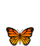 Know Hope North Carolina